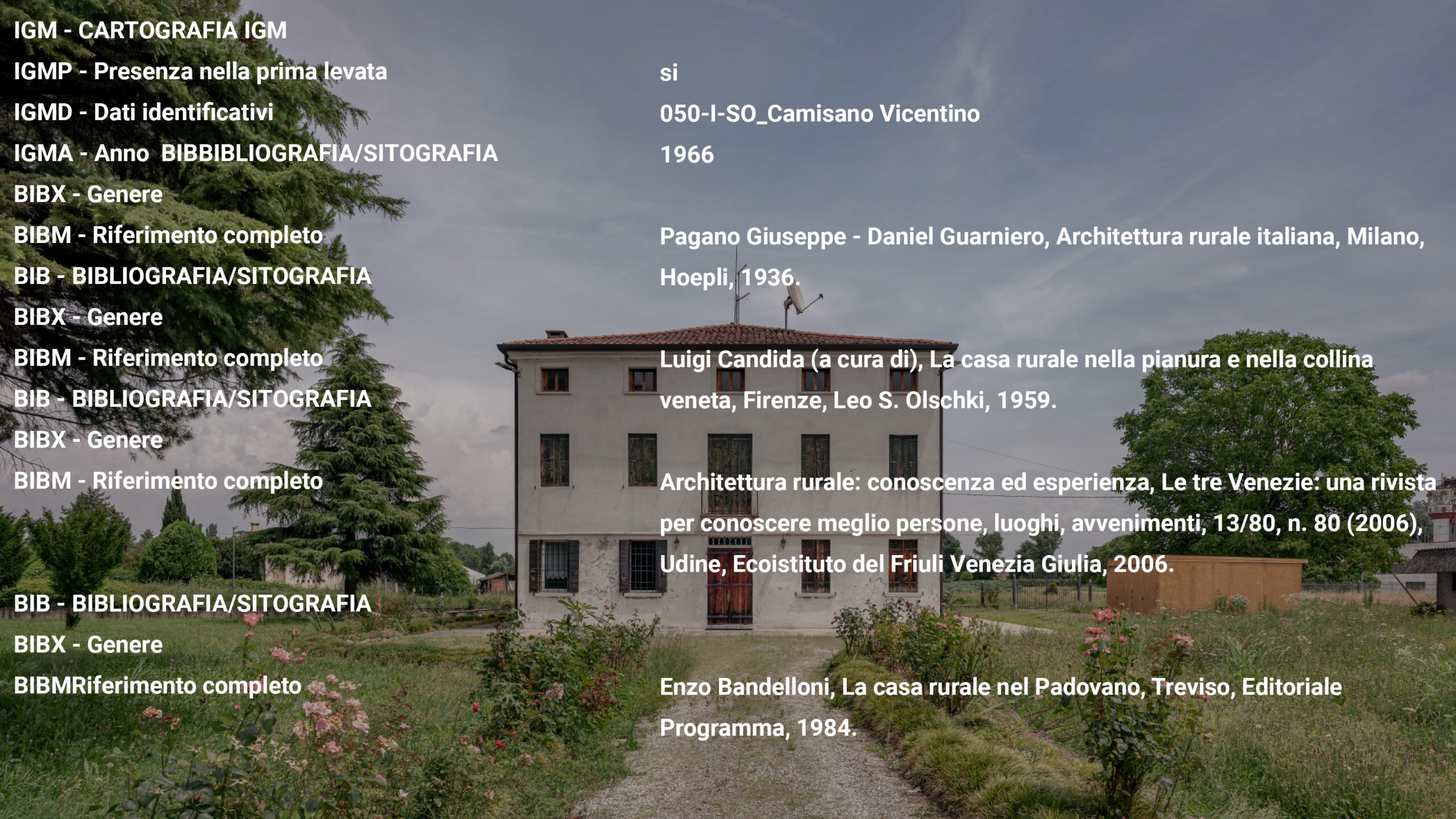 Senza titolo-23