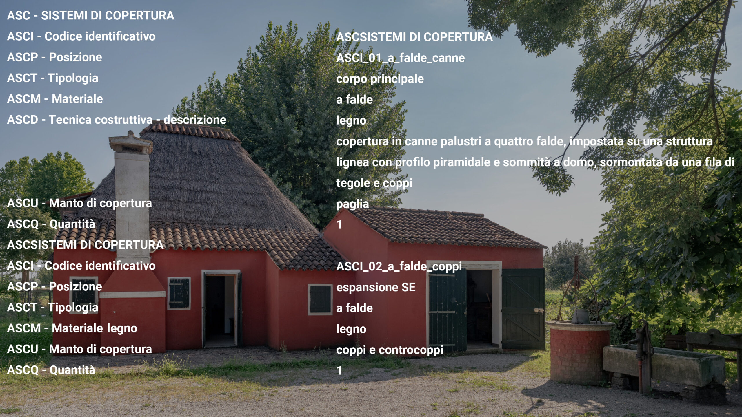 Senza titolo-24