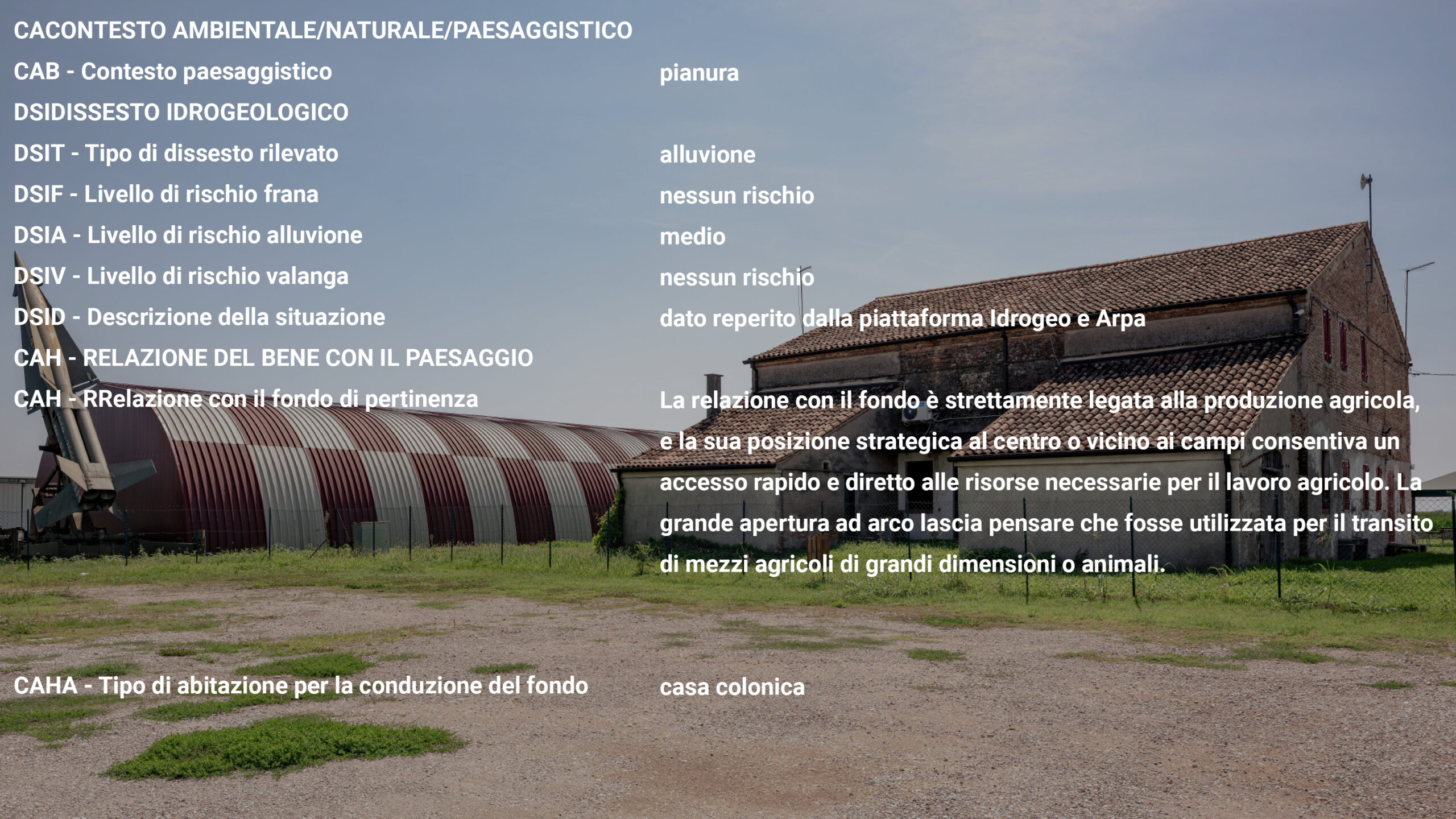 Senza titolo-25